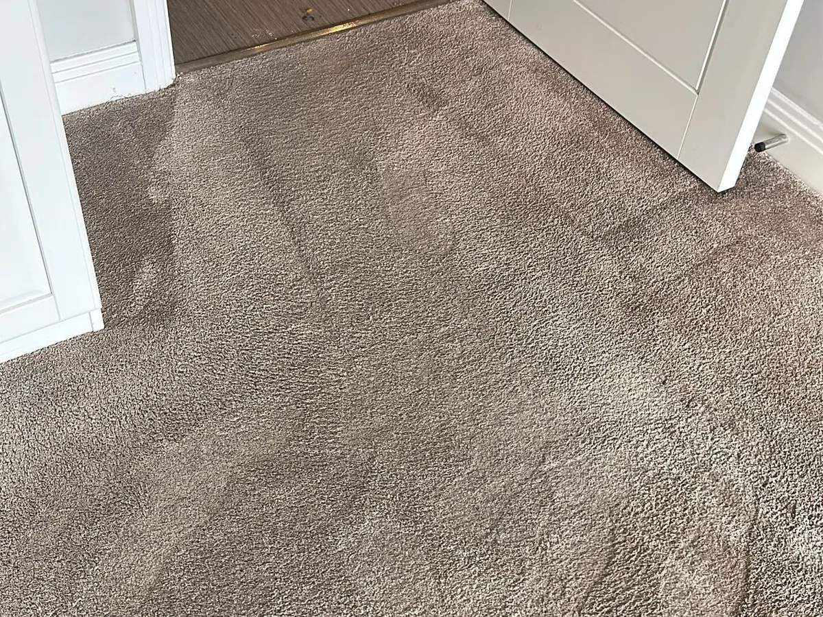 The same grey carpet freshly deep-cleaned with even strokes