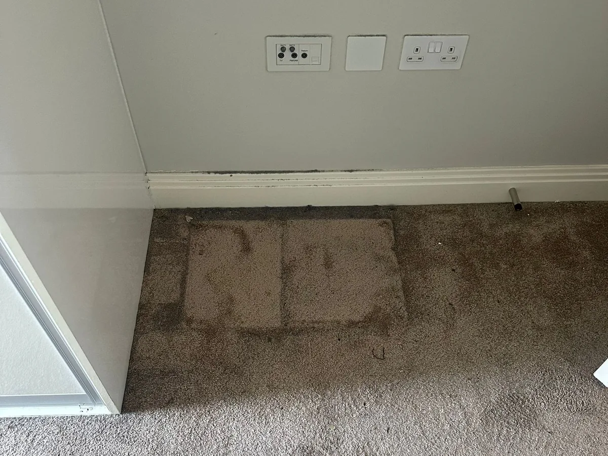 Carpet cleaning before